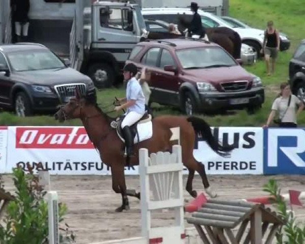 broodmare Lissy 496 (Westphalian, 2004, from Lacordos)