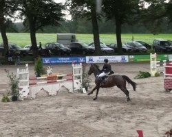 broodmare Maxima 52 (Oldenburg, 2001, from Metternich)