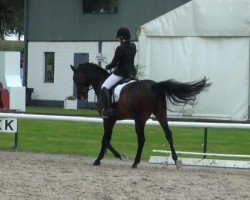 dressage horse Lavignon (Hessian Warmblood, 2001, from Lanciano)