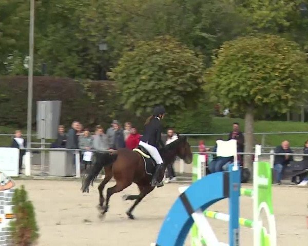 Reitturnier Frankenhof-Sonnefeld/Ofr. 2022