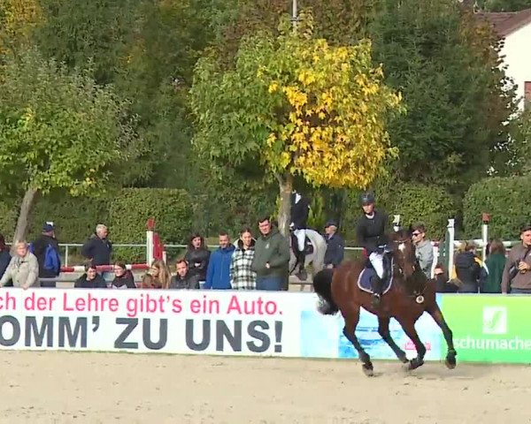 Reitturnier Frankenhof-Sonnefeld/Ofr. 2022