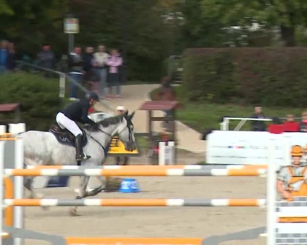 Reitturnier Frankenhof-Sonnefeld/Ofr. 2022