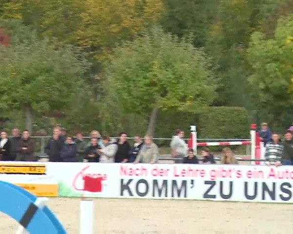 Reitturnier Frankenhof-Sonnefeld/Ofr. 2022