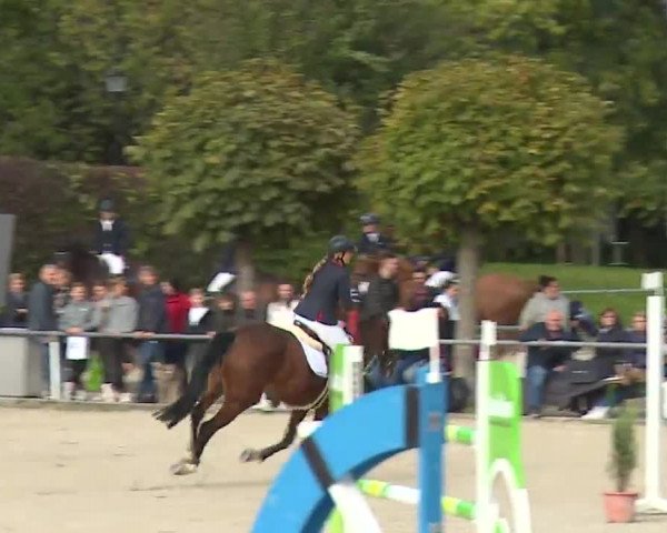 Reitturnier Frankenhof-Sonnefeld/Ofr. 2022