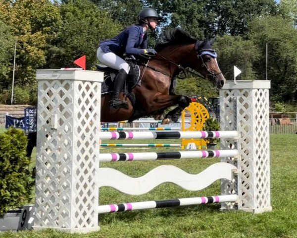 Springpferd Destiny's Dream 2 (Deutsches Reitpony, 2007, von Blokland's Hoeve's Mr. Silvano)