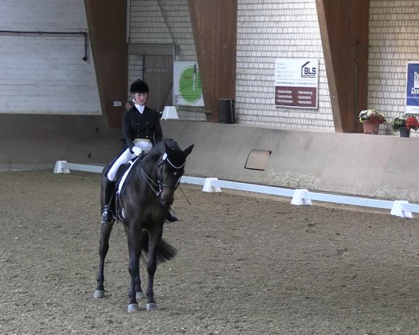 Reitturnier Kamen 2022