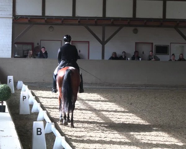 Reitturnier Kamen 2022