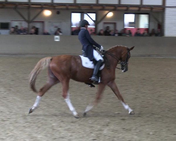 Reitturnier Kamen 2022