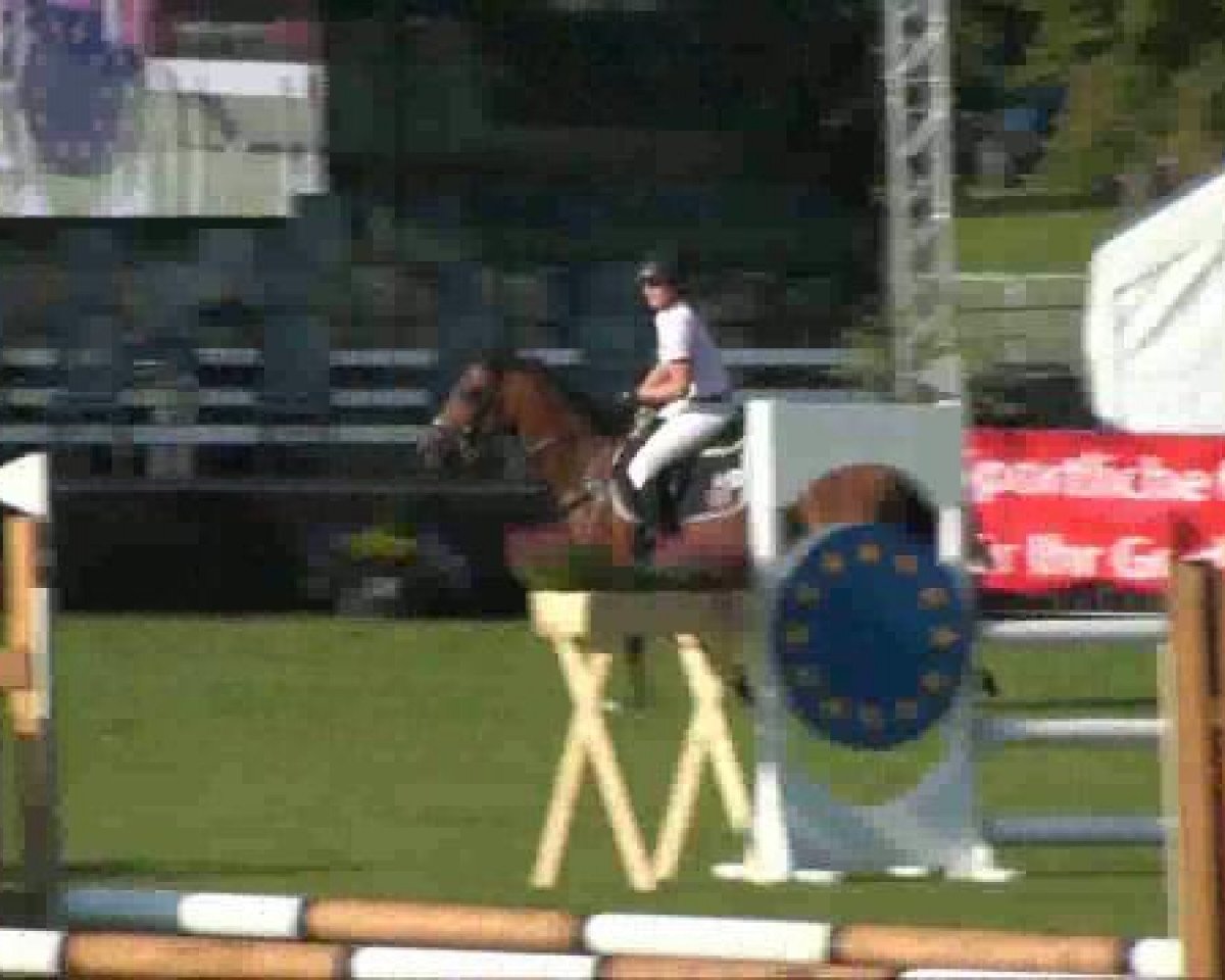 Springpferd Trigracia (Deutsches Reitpony, 1995, von Tribun S)
