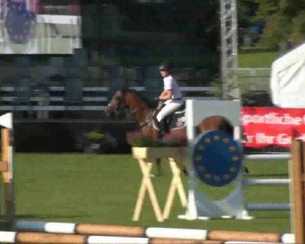 jumper Trigracia (German Riding Pony, 1995, from Tribun S)