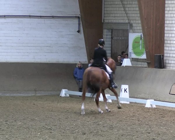 Rideturnering Kamen 2022