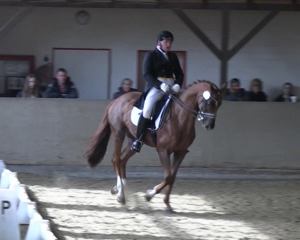 Reitturnier Kamen 2022