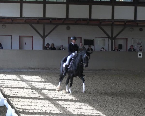Reitturnier Kamen 2022