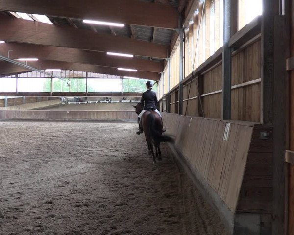 Dressurturnier Ruhlsdorf 2022