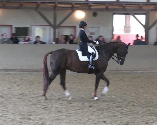 Reitturnier Kamen 2022