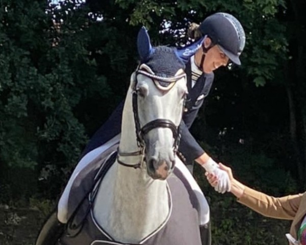 dressage horse Fly Faith (KWPN (Royal Dutch Sporthorse), 2010, from Calido I)