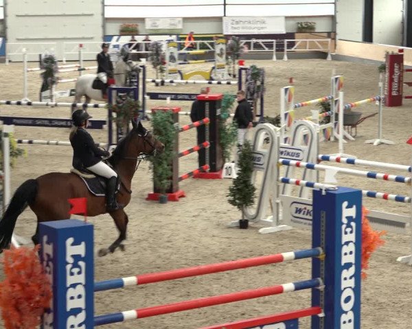 Reitturnier Borken 2022
