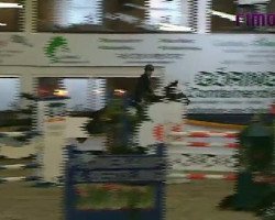 broodmare Loxia 2 (Westphalian, 2006, from Lupicor)