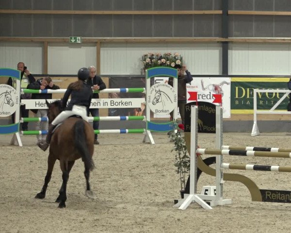 Reitturnier Borken 2022