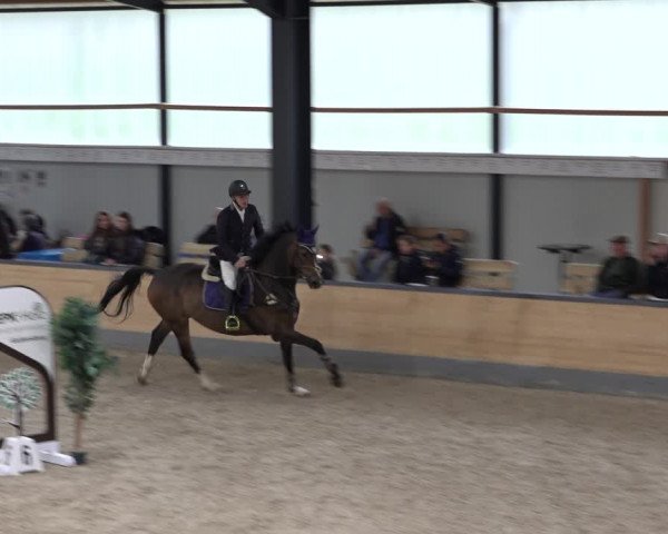 Reitturnier Borken 2022