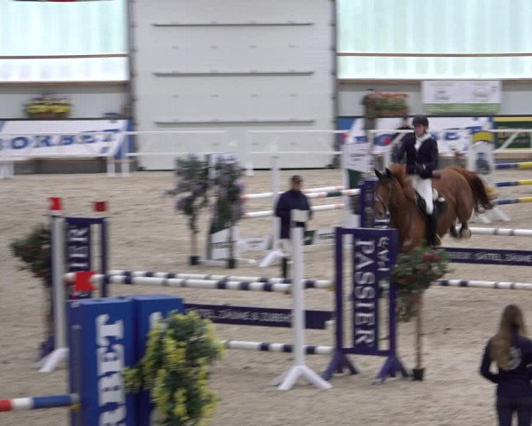 Reitturnier Borken 2022