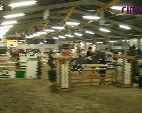 jumper Lentz (Holsteiner, 1998, from Lancianos)