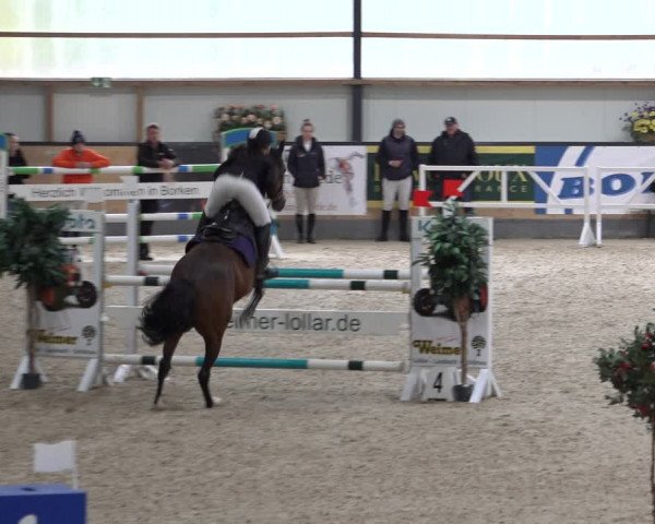 Reitturnier Borken 2022