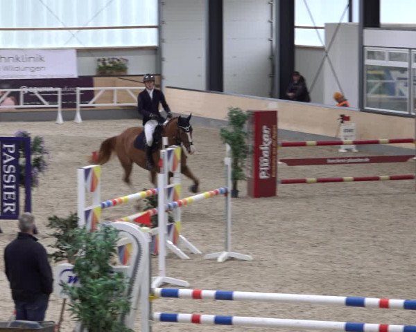 Reitturnier Borken 2022