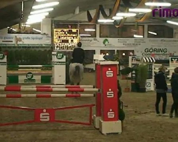 broodmare Sequenz (Holsteiner, 2002, from Quite Capitol)
