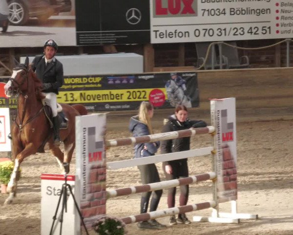 Reitturnier Böblingen 2022
