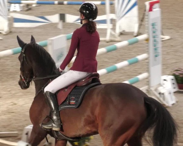 Reitturnier Böblingen 2022