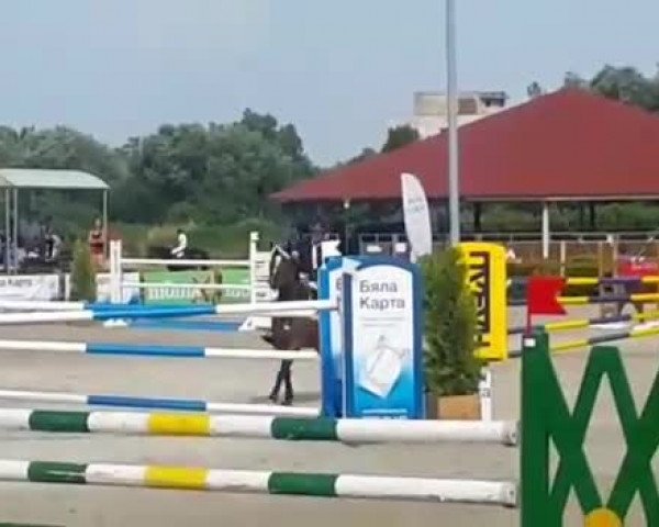 Video of Zalina H