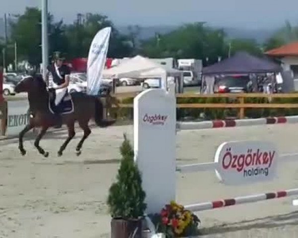 Video of Zalina H