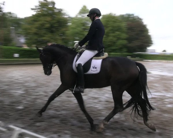 Reitturnier Kirchhellen Stall "Zur Linde" 2022