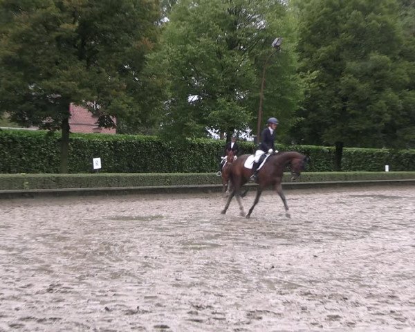 Reitturnier Kirchhellen Stall "Zur Linde" 2022