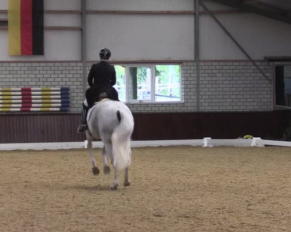Reitturnier Kirchhellen Stall "Zur Linde" 2022