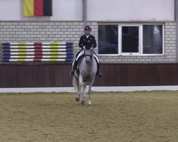 Reitturnier Kirchhellen Stall "Zur Linde" 2022