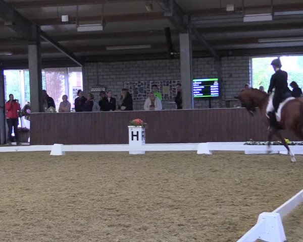 Reitturnier Kirchhellen Stall "Zur Linde" 2022