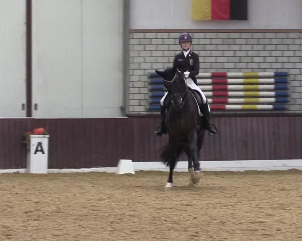 Reitturnier Kirchhellen Stall "Zur Linde" 2022
