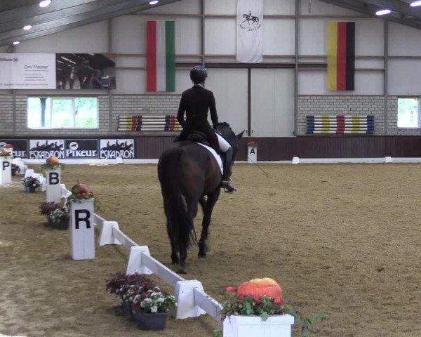 Reitturnier Kirchhellen Stall "Zur Linde" 2022