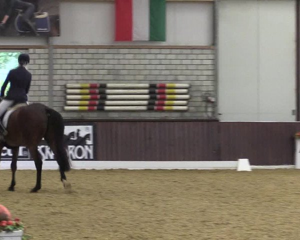 Reitturnier Kirchhellen Stall "Zur Linde" 2022