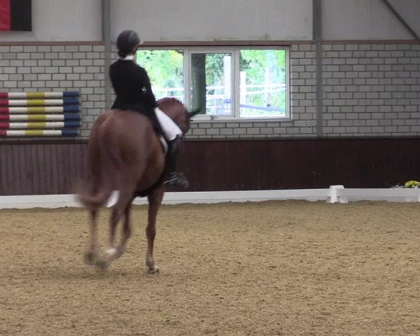 Reitturnier Kirchhellen Stall "Zur Linde" 2022