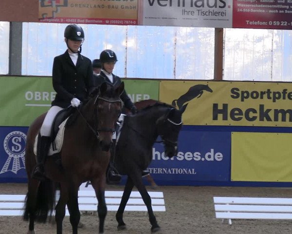 Euregio-Dressurturnier Isterberg 2022