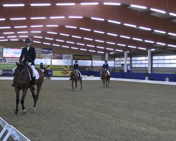 Euregio-Dressurturnier Isterberg 2022