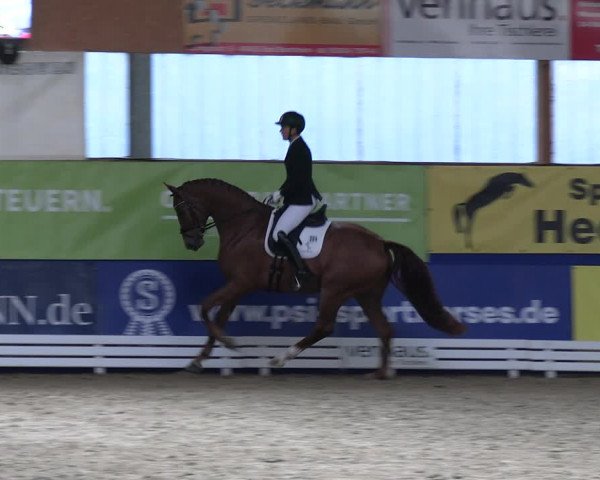 Euregio-Dressurturnier Isterberg 2022
