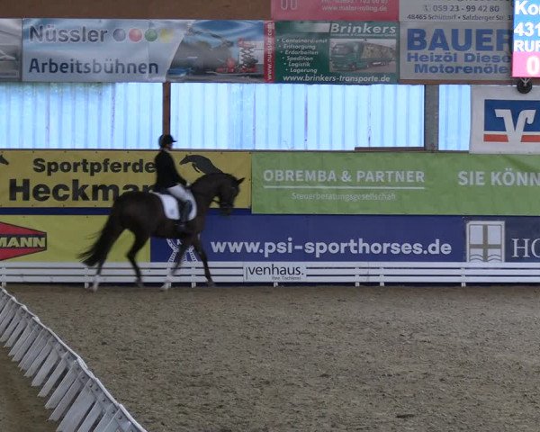 Euregio-Dressurturnier Isterberg 2022