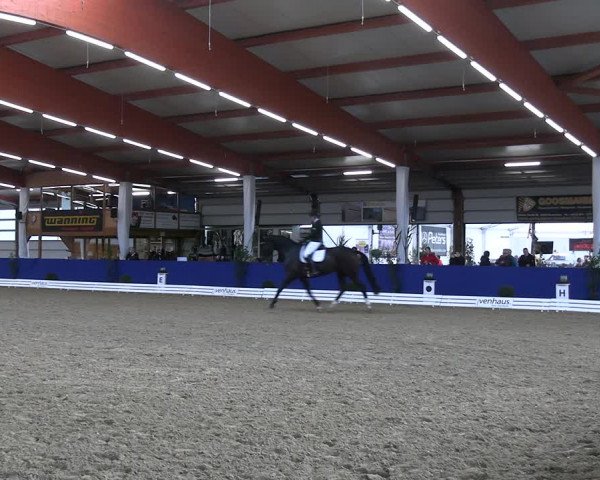 Euregio-Dressurturnier Isterberg 2022