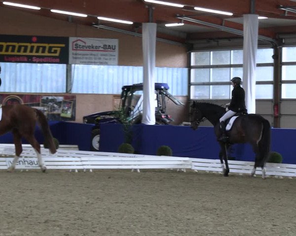 Euregio-Dressurturnier Isterberg 2022