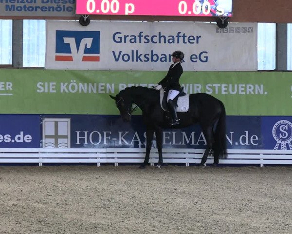 Euregio-Dressurturnier Isterberg 2022