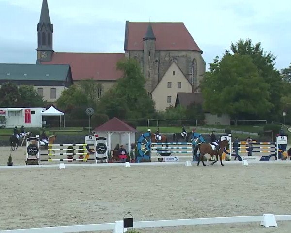 Reitturnier Frankenhof-Sonnefeld/Ofr. 2022